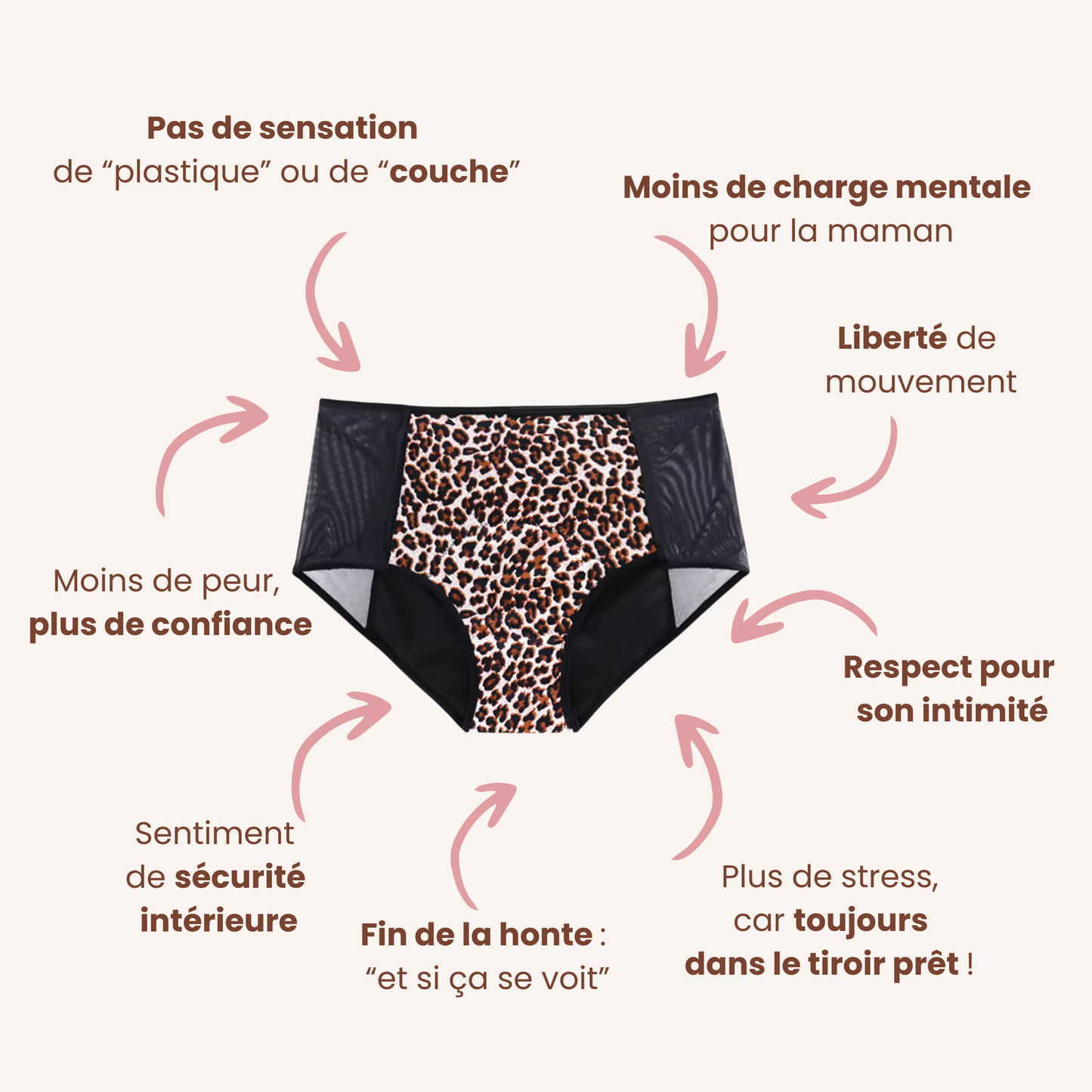 L'Éclipse et La Nova